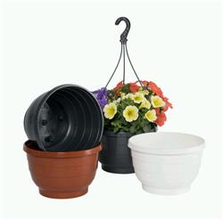 Pots & Containers